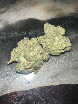 Cali Buds 
