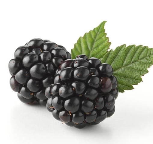 Mûres (barquette 150g)_0