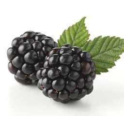 Mûres (barquette 150g)