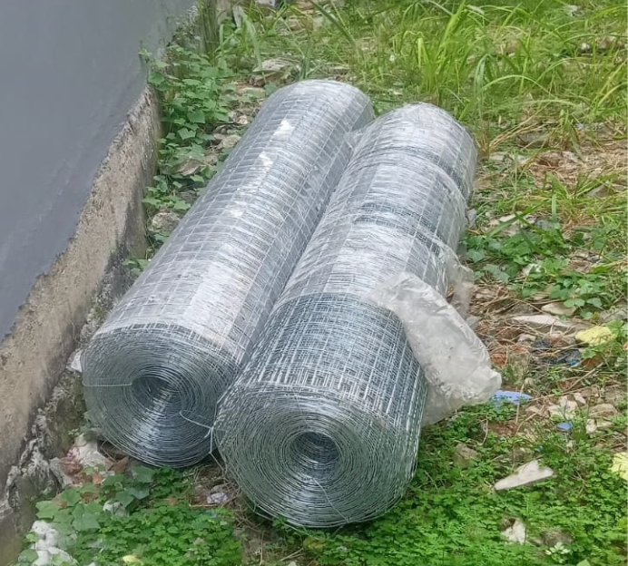Galvanish Mesh 50x50_5