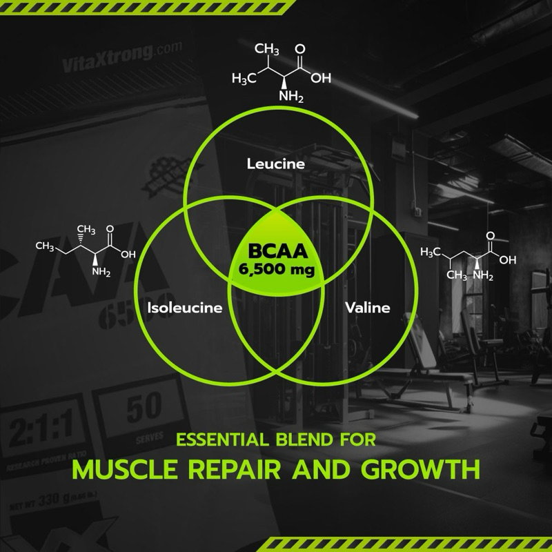 VITAXTRONG™ 100% BCAA 6500 Pure Powder (330g | 50 Servings) | 6,500mg BCAA 2:1:1 • Muscle Recovery, Endurance & Anti-Catabolic Support [VX]_6