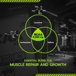 VITAXTRONG™ 100% BCAA 6500 Pure Powder (330g | 50 Servings) | 6,500mg BCAA 2:1:1 • Muscle Recovery, Endurance & Anti-Catabolic Support [VX]