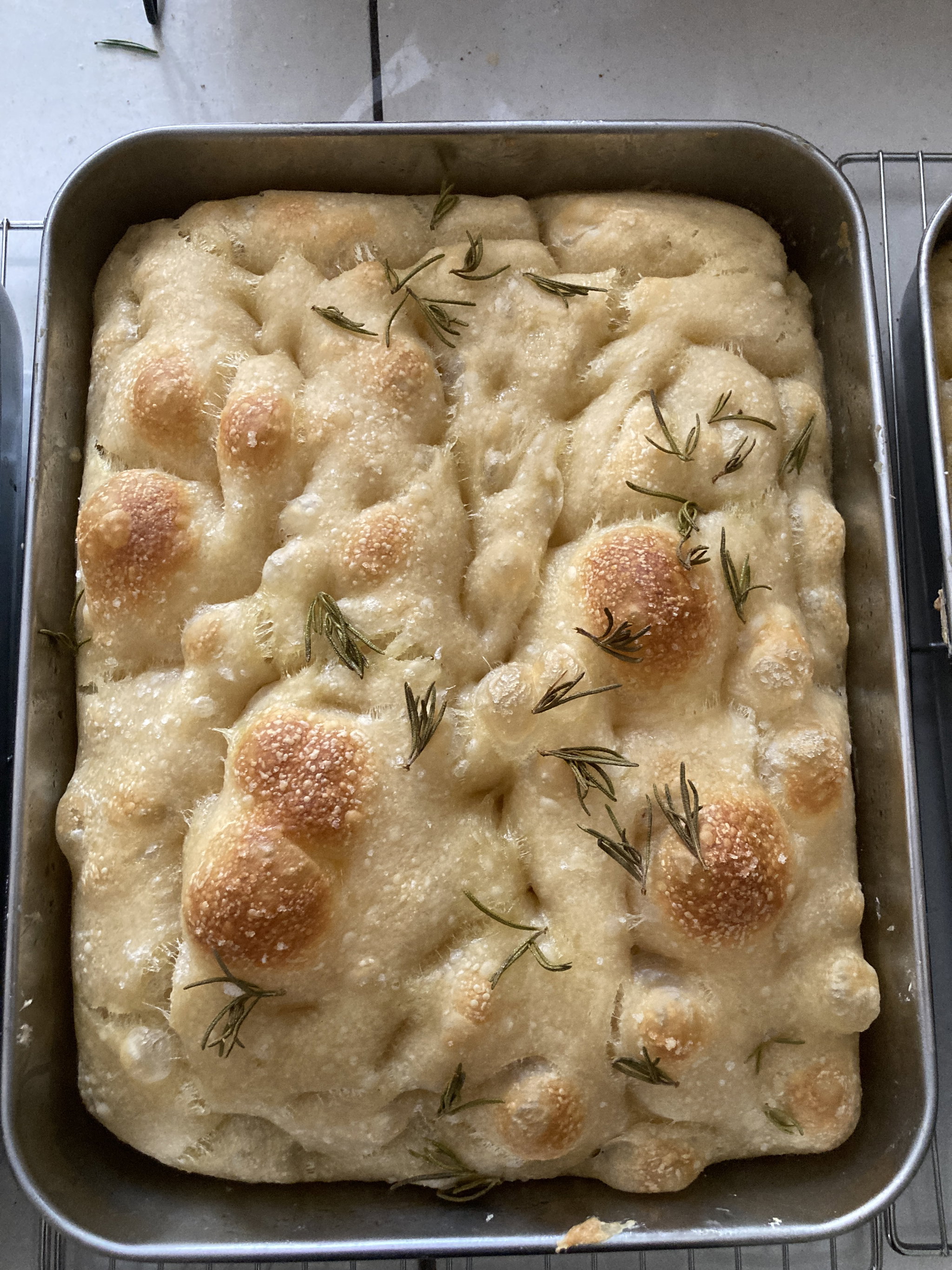 Sourdough Focaccia פוקצ׳ה מחמצת _0