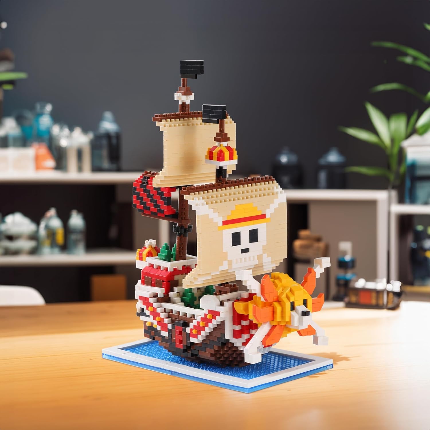 Thousand sunny _1