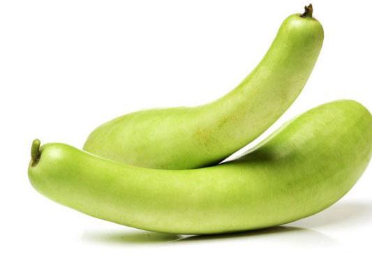 Bottle Gourd