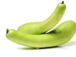 Bottle Gourd