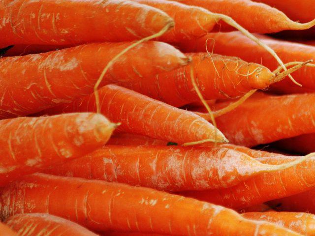 Carrots_0