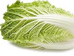 Chinese Cabbage_0