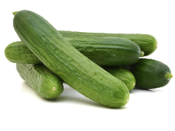 Cucumber