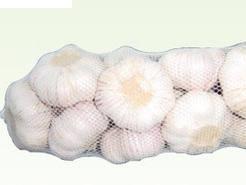 Chinese Garlic