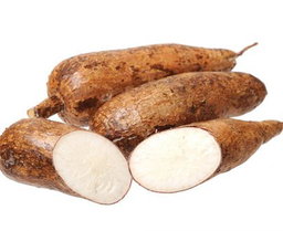 Cassava