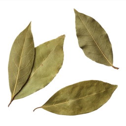 Lauriers feuilles