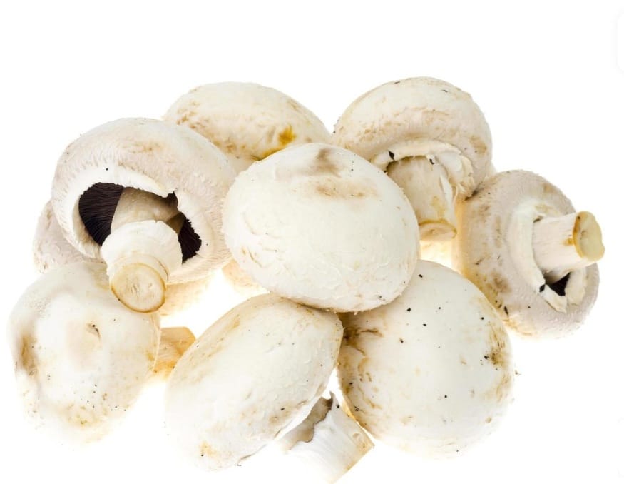Champignons frais_2