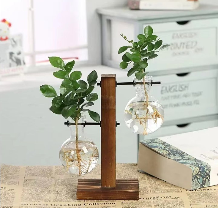 Hydroponic glass vases_1