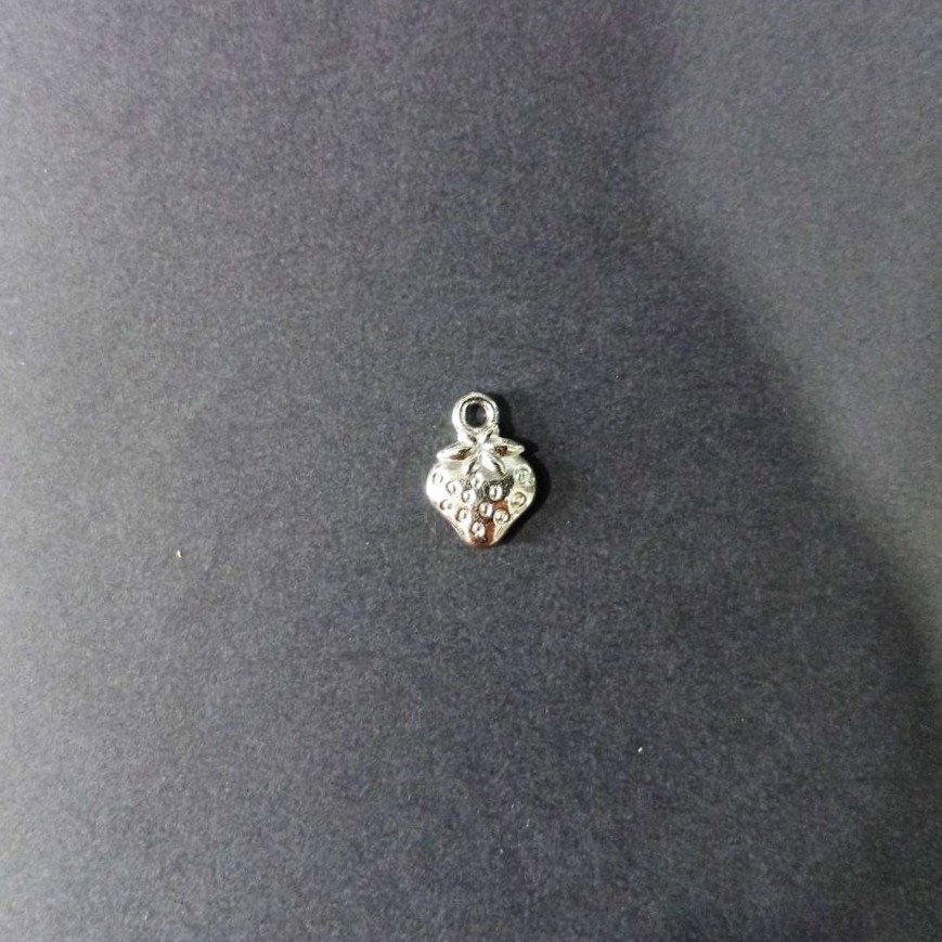 Silver charms_1