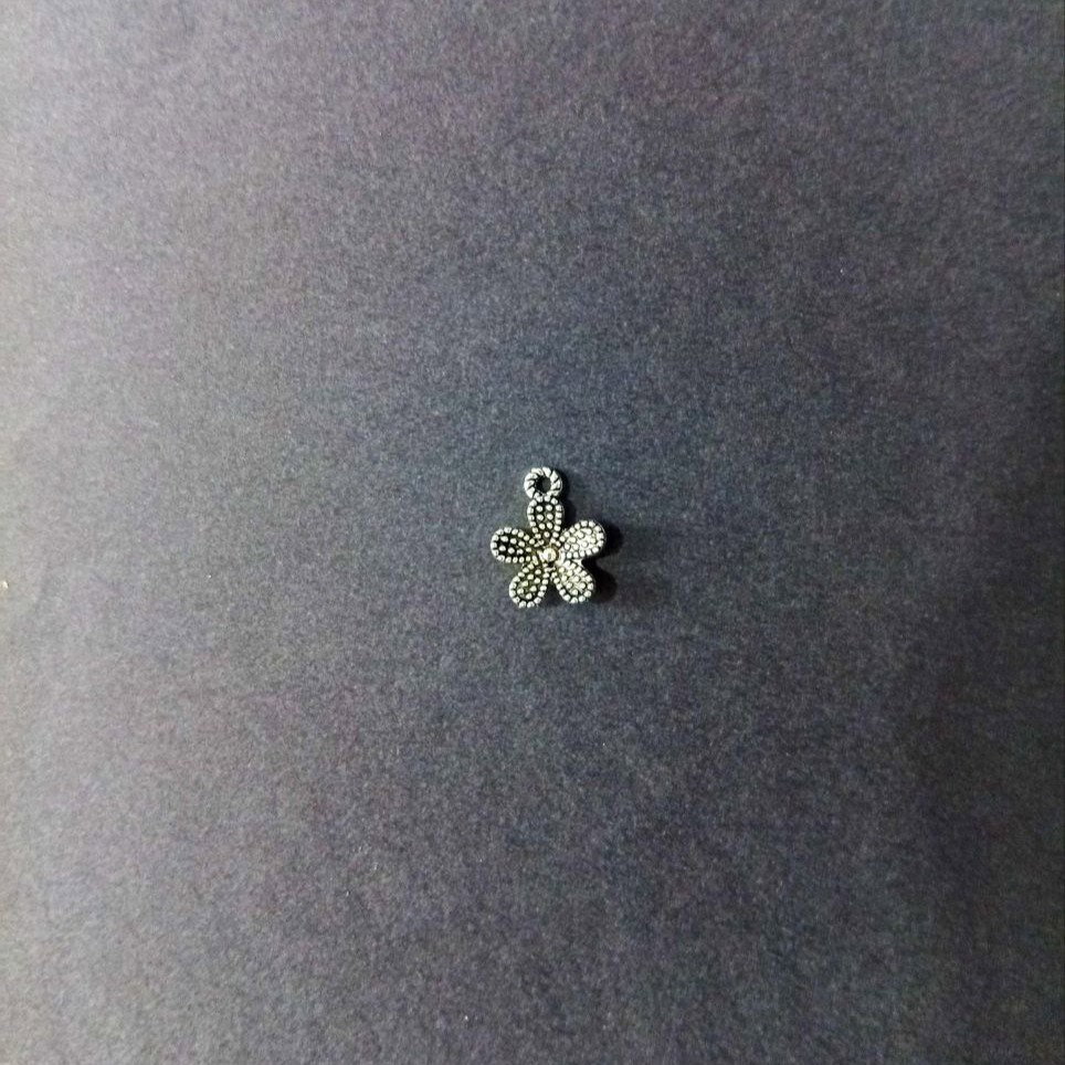 Silver charms_5