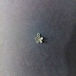 Silver charms