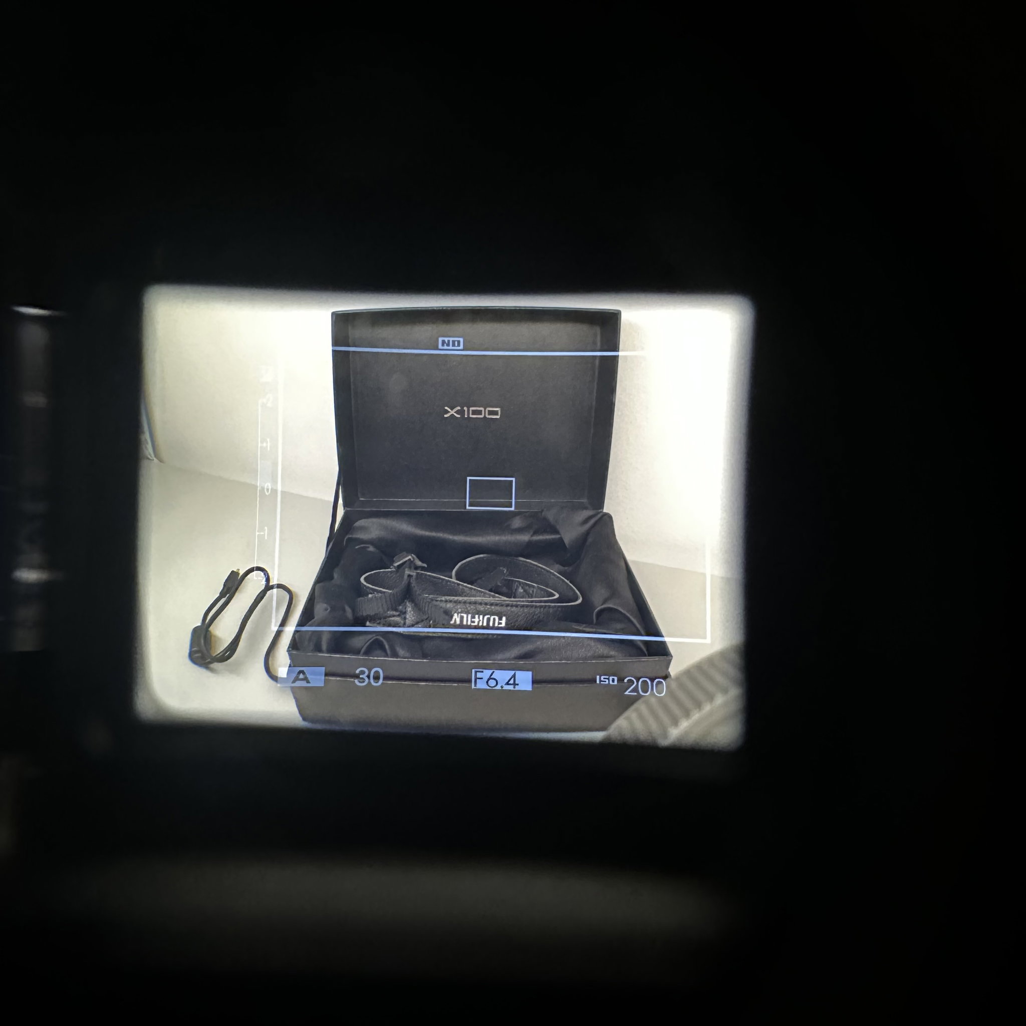 Fuji X100_6
