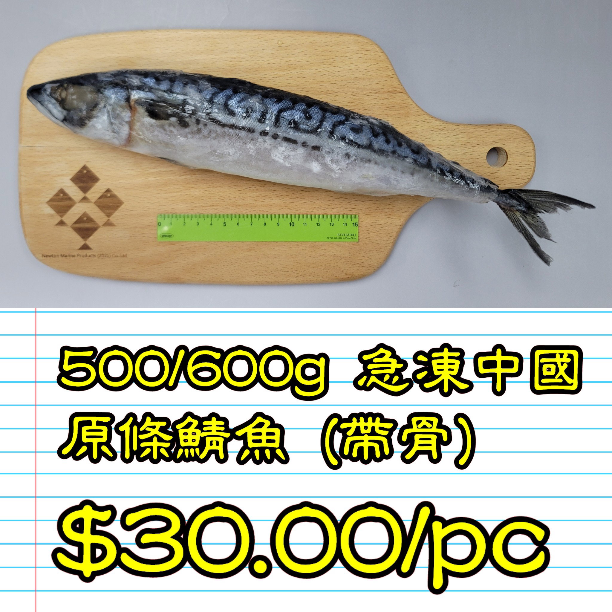500/600g 急凍中國原條鯖魚 (帶骨)_1