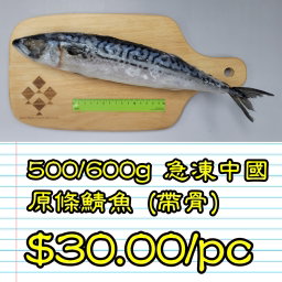 500/600g 急凍中國原條鯖魚 (帶骨)