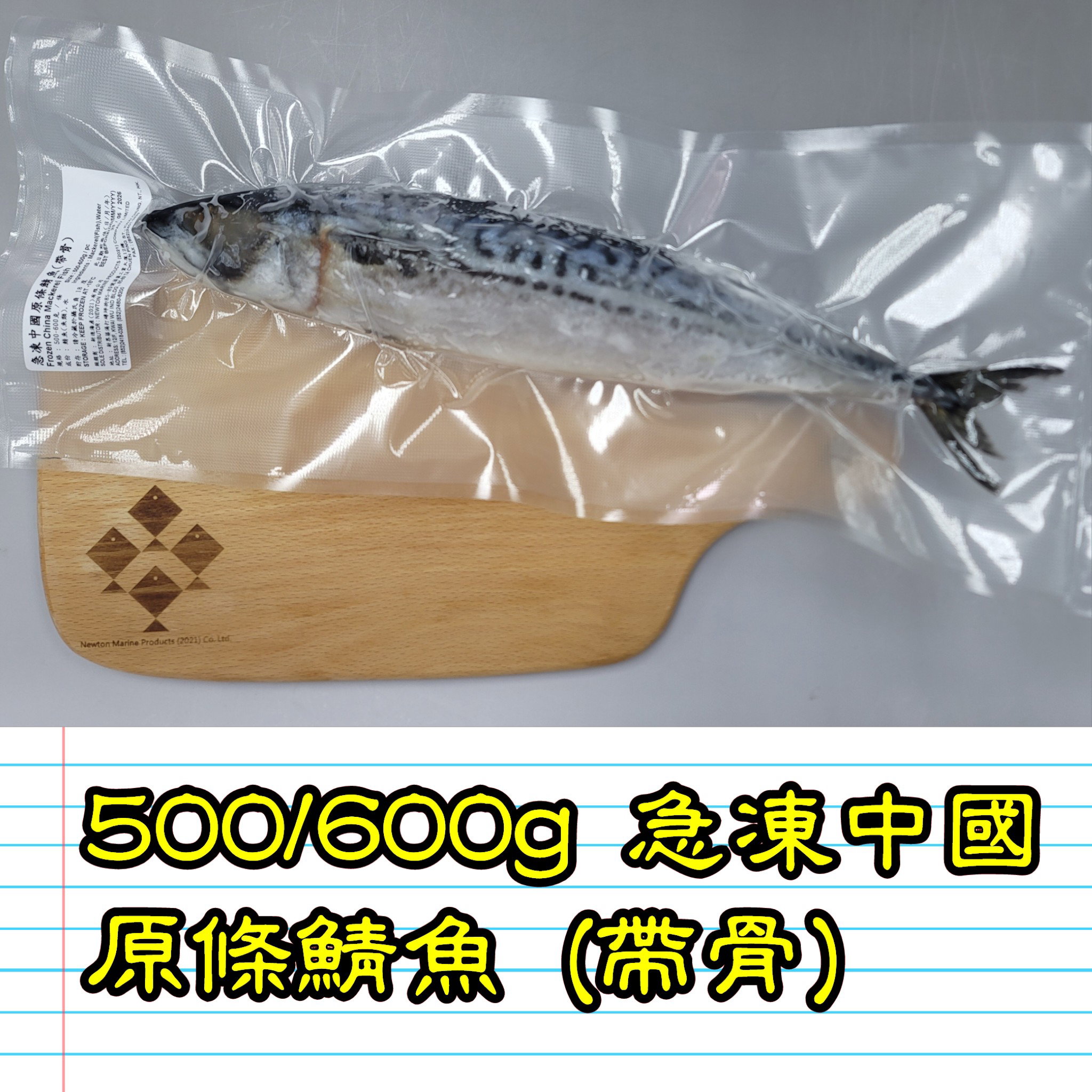 500/600g 急凍中國原條鯖魚 (帶骨)_2