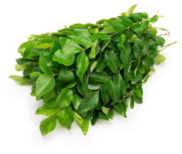 Fresh Herbs