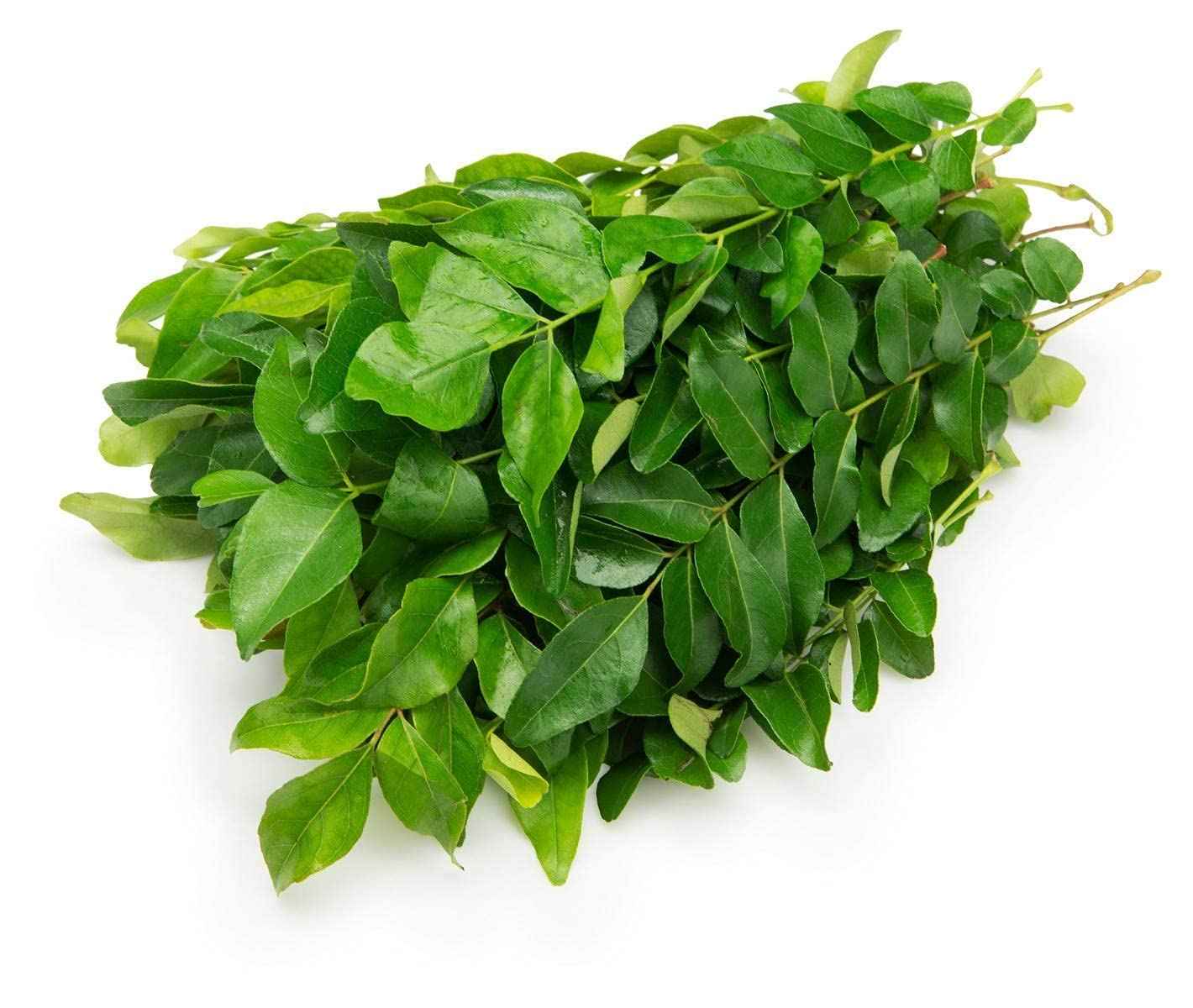 Curry leaves  கறிவேப்பிலை_0