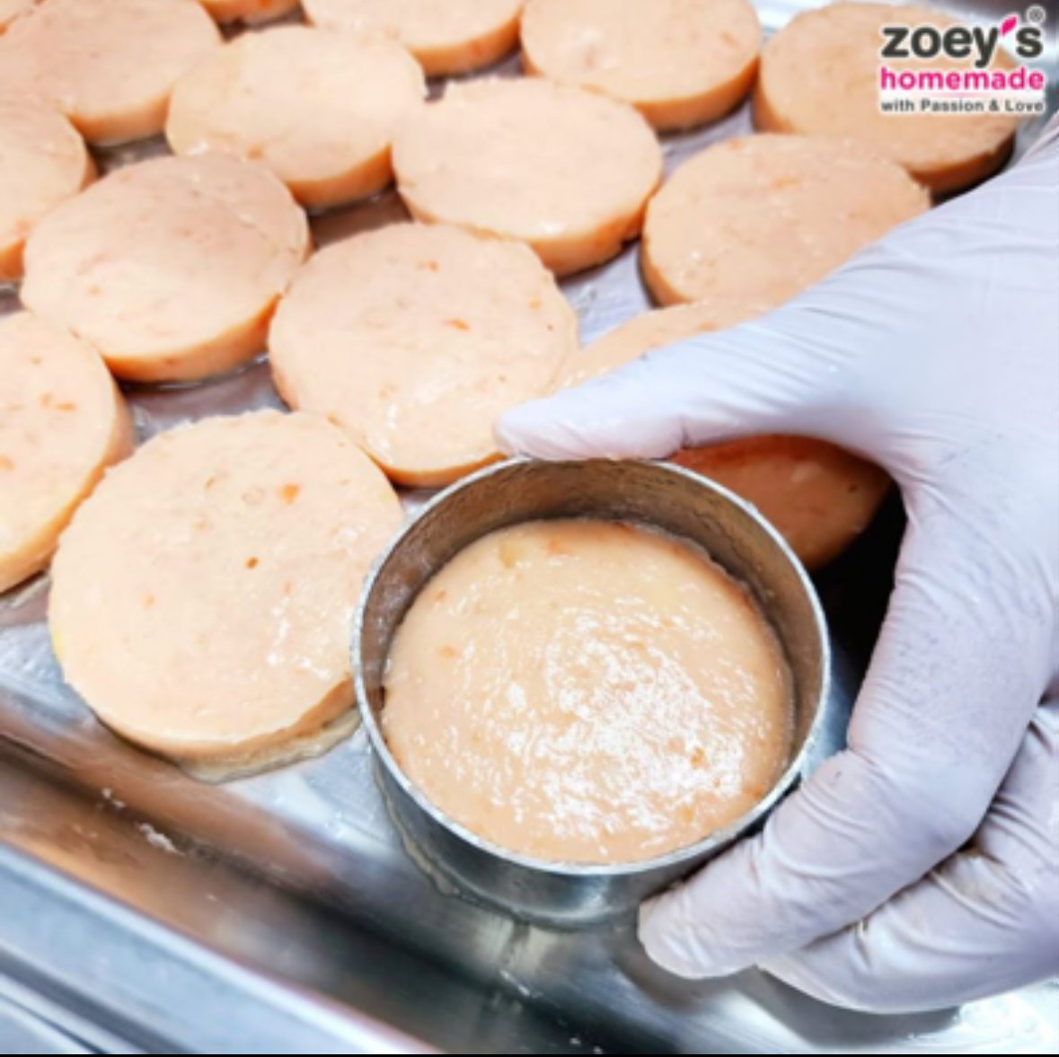 Zoey Baby Salmon Chicken Patties (4pcs) _1