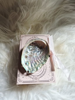 Abalone Shell Resin Set