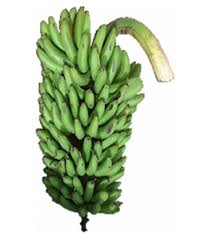 Matooke