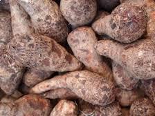 Yams_0