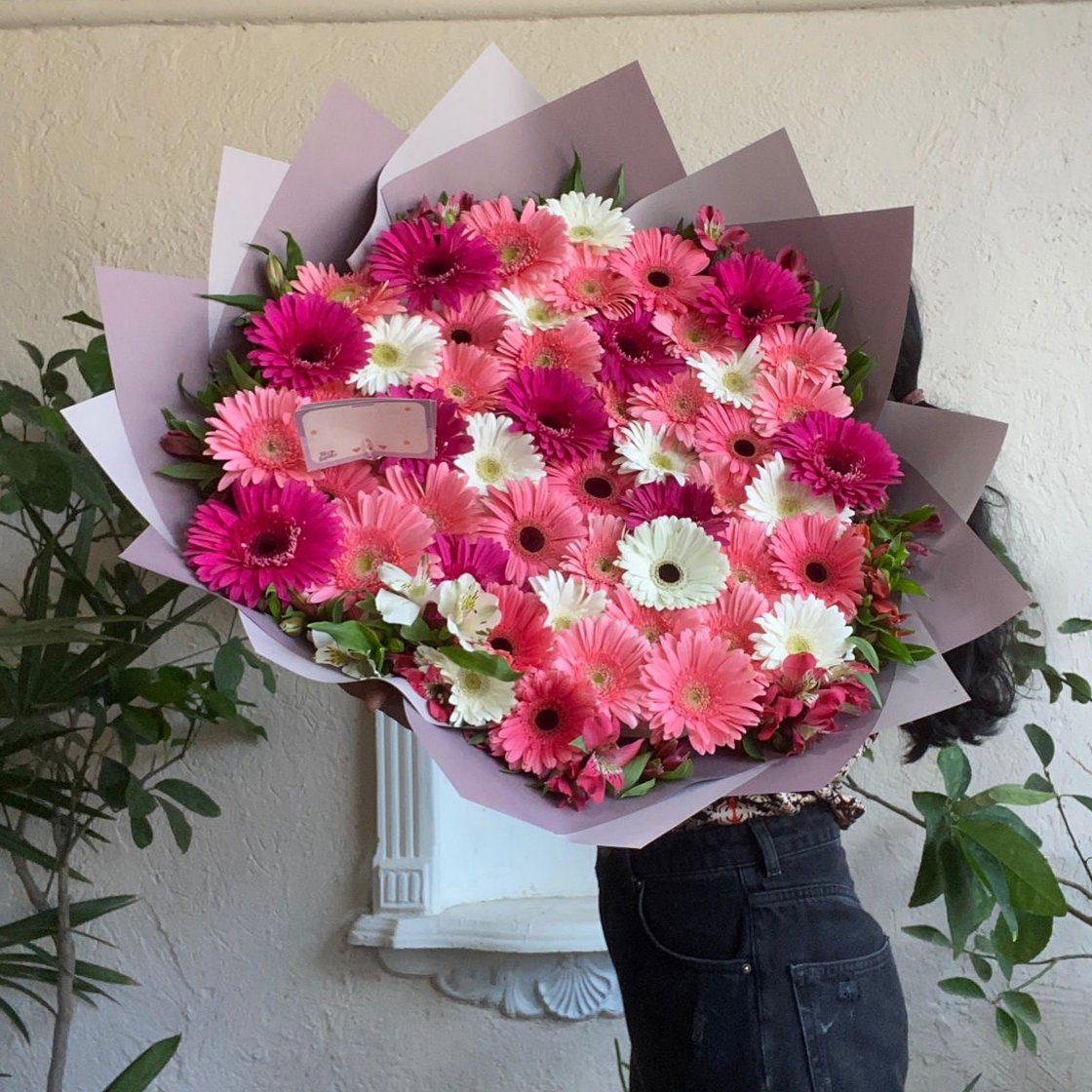 Maxi 50 gerberas_0