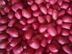 Ground Nuts