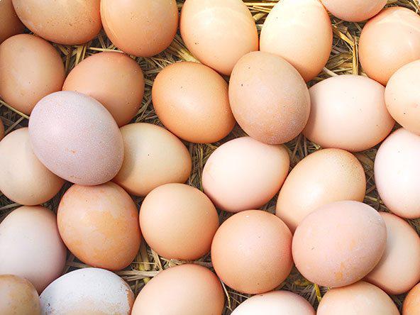 Eggs_0