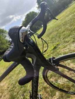 **Cannondale Synapse (L- size 56)**
