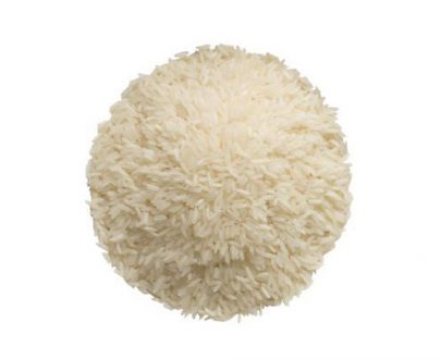 Rice_0