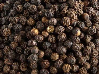 Black Pepper Seeds_0
