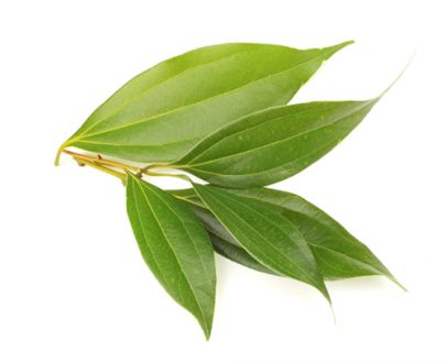 Cinnamon Leaves/Sticks_0