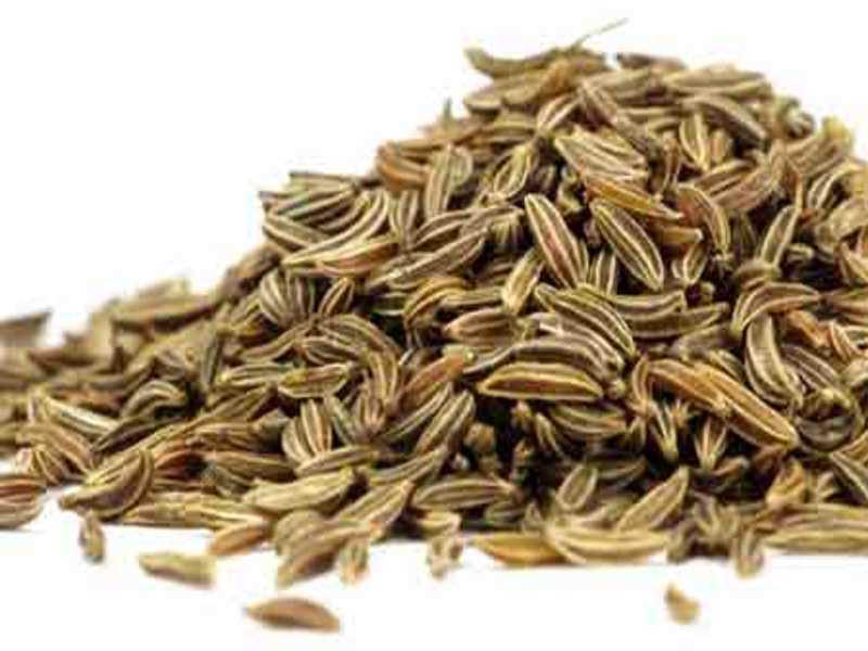 Cumin Seeds_0