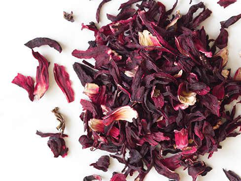 Hibiscus Flowers_0