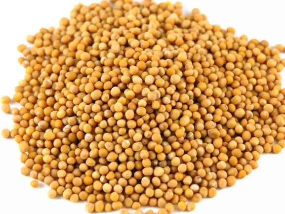 Mustard Seed