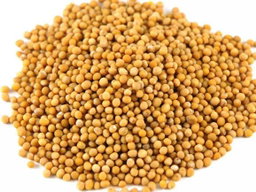 Mustard Seed