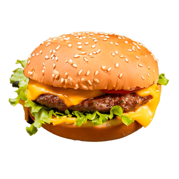 Cheese Burger _0