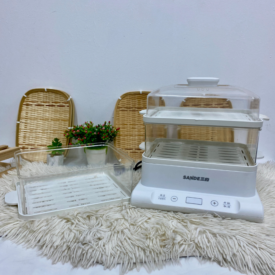 ELECTRIC STEAMER 20L (PENGUKUS)_4
