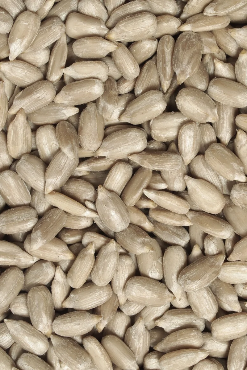 Sunflower Seeds_0