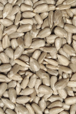 Sunflower Seeds