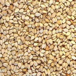 Sesame Seeds
