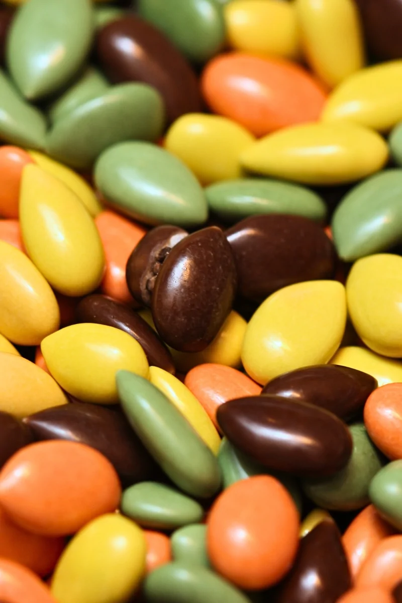 Choc sun seeds_0