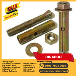 Dinabolt 