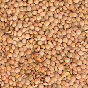 Brown Lentils_0